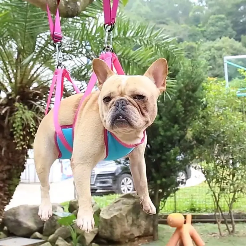 Puppy Dogs Cat Grooming Hammock Harness Dog Hammock Restraint Bag with Nail Clippers/Trimmer Nail File Ear/Eye Care Pet Supplies
Puppy Dogs Cat Grooming Hammock Harness Dog Hammock Restraint Bag with Nail Clippers/Trimmer Nail File Ear/Eye Care Pet Supplies