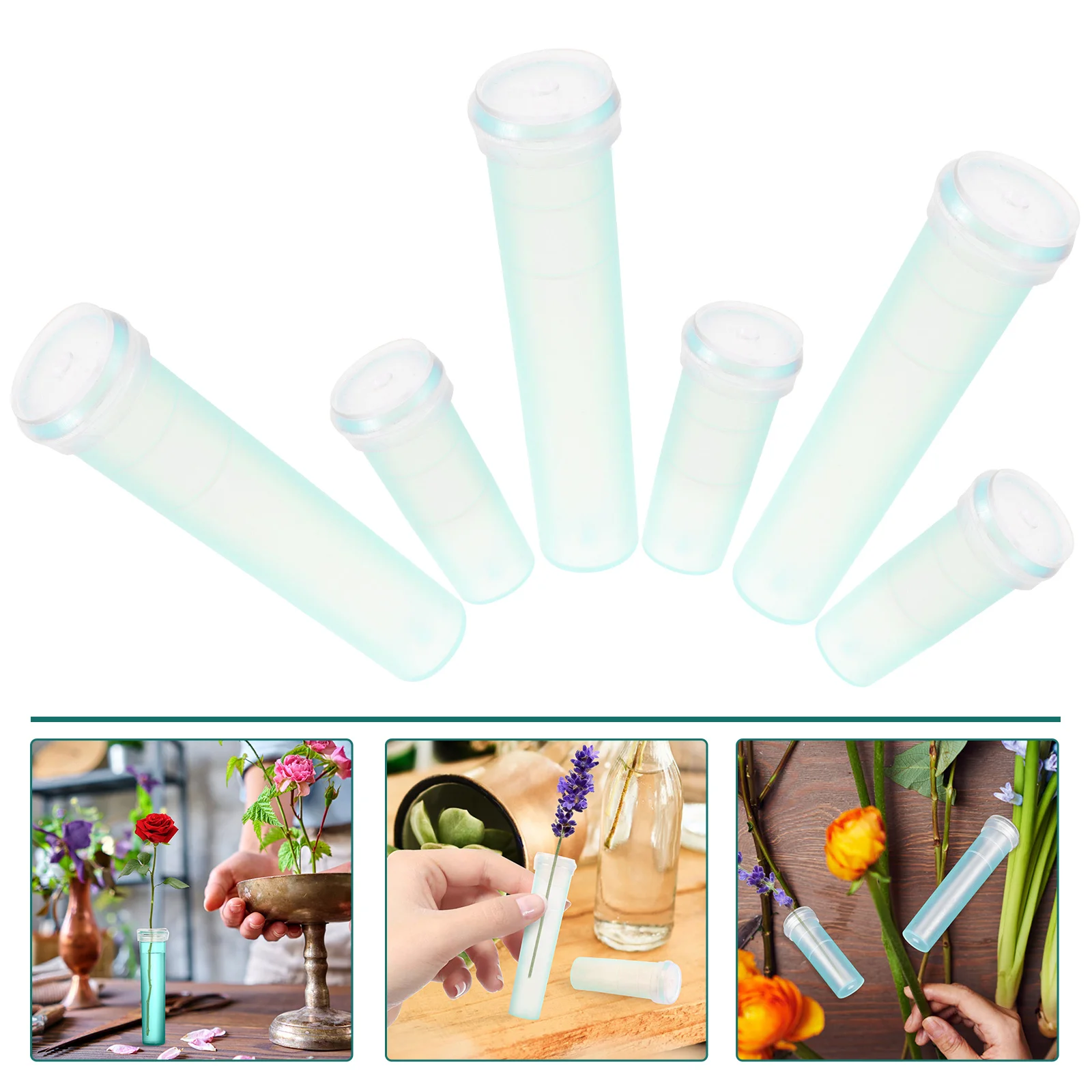 Flower Tubes Water Tube Floral Picks Vials Caps Clear Flowers Container Propagation Cultivation Nutrient Transplanting
Flower Tubes Water Tube Floral Picks Vials Caps Clear Flowers Container Propagation Cultivation Nutrient Transplanting