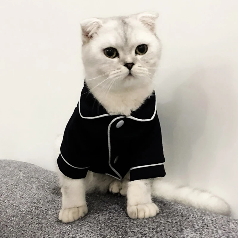 Christmas Pet Cat Costume Clothes for Cats Winter Kedi Katten Sphynx Sweatshirt Hoodie Suit Mascotas Clothing Ropa Para Gato
Christmas Pet Cat Costume Clothes for Cats Winter Kedi Katten Sphynx Sweatshirt Hoodie Suit Mascotas Clothing Ropa Para Gato