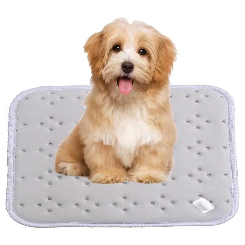 Car Heating Pad Mini Heating Cushions With 3 Temperature And Timing Modes Chair Seating Pads For Home Office School
Car Heating Pad Mini Heating Cushions With 3 Temperature And Timing Modes Chair Seating Pads For Home Office School
