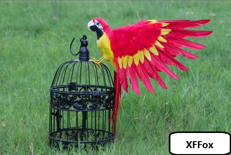 creative real life wings parrot model foam&feather red parrot bird doll gift about 30x50cm d02499
creative real life wings parrot model foam&feather red parrot bird doll gift about 30x50cm d02499