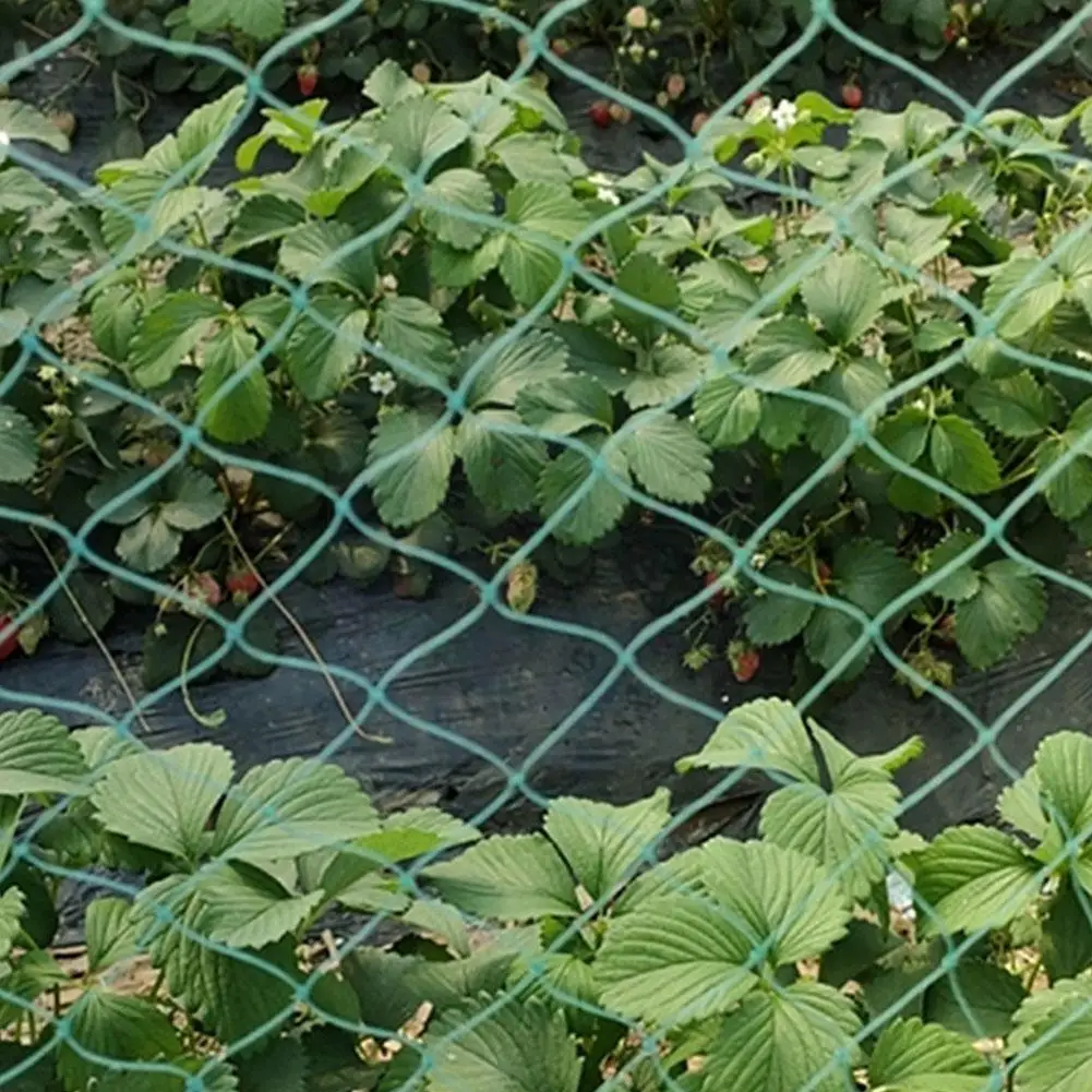 Garden Supplies Fishing Net Shading Mesh All For Yard Garden Greenhouses Hurdle For Fence Garden Anti-grass Mesh Anti-bird Q4d8
Garden Supplies Fishing Net Shading Mesh All For Yard Garden Greenhouses Hurdle For Fence Garden Anti-grass Mesh Anti-bird Q4d8