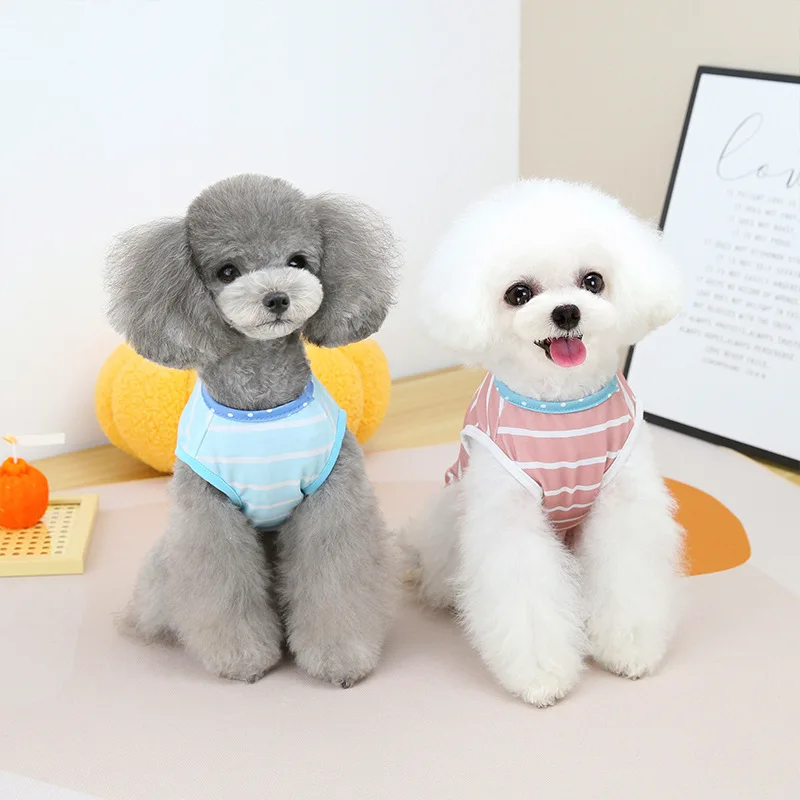 New Fashion Trend Pet Cat Dog Summer Thin Breathable Vest T-Shirt Green Bear Bright Diamond Clothes Small Medium Pet Dog Clothes
New Fashion Trend Pet Cat Dog Summer Thin Breathable Vest T-Shirt Green Bear Bright Diamond Clothes Small Medium Pet Dog Clothes