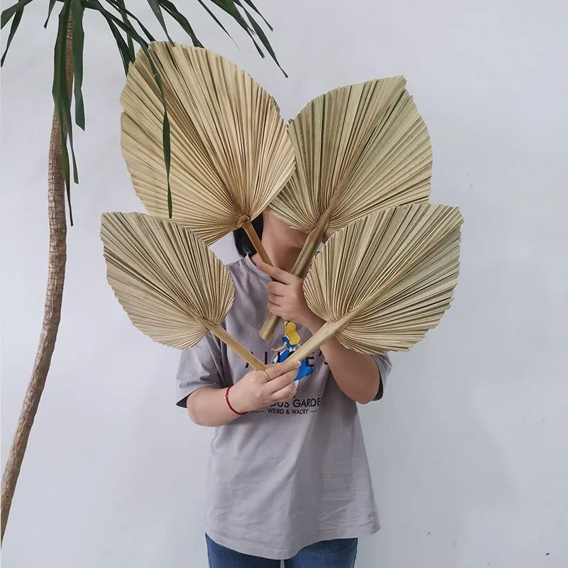 4pcs Natural Dried Palm Leaves Tropical Bohemian Dried Palm Spears Window Art Wall Hanging Birthday Wedding Party Decoration
4pcs Natural Dried Palm Leaves Tropical Bohemian Dried Palm Spears Window Art Wall Hanging Birthday Wedding Party Decoration