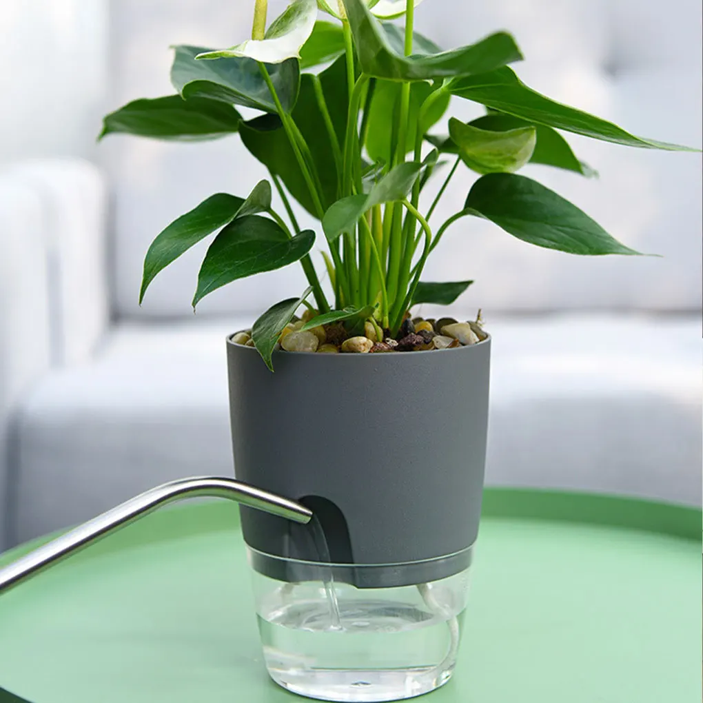 Stylish And Innovative Gardens Beauty With Unique Flower Pot Easy To Maintain Hydroponic Flowerpot
Stylish And Innovative Gardens Beauty With Unique Flower Pot Easy To Maintain Hydroponic Flowerpot