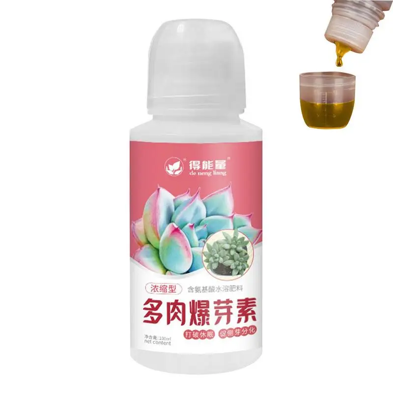 Liquid Succulent Food Indoor Potting Mix Food 100ML Liquid Fertilizer Amino Acid Promote Bud For Outdoor Succulent
Liquid Succulent Food Indoor Potting Mix Food 100ML Liquid Fertilizer Amino Acid Promote Bud For Outdoor Succulent