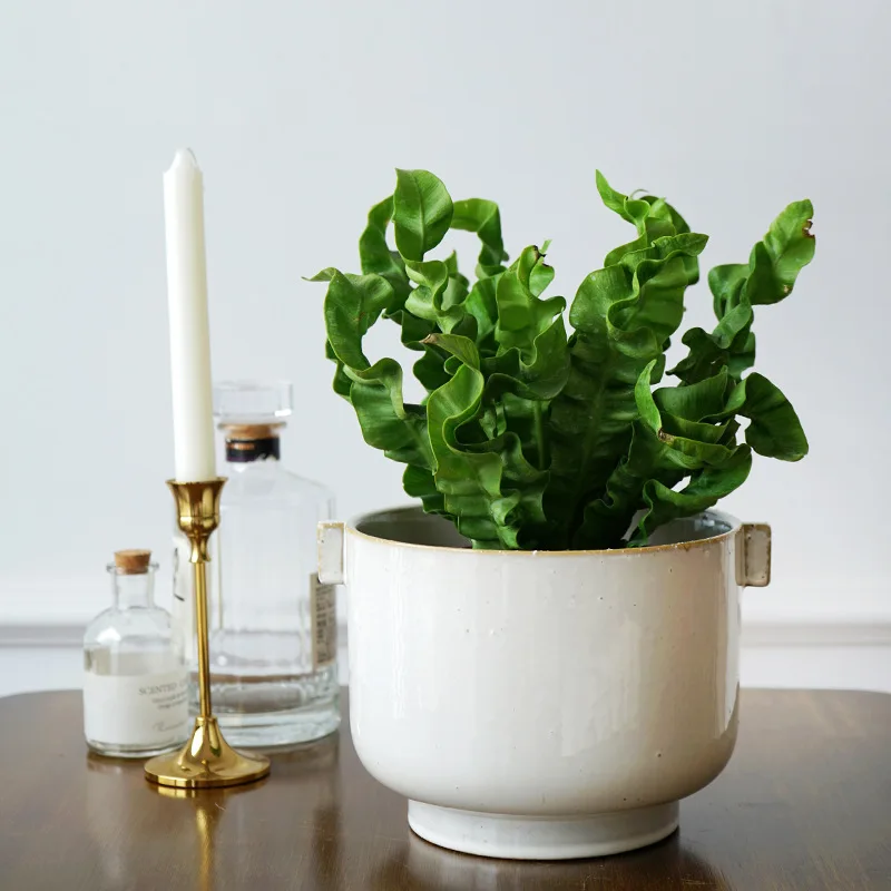 Nordic Contracted Pots for Plants Ceramic Hydropics Flower Pot Creative Round Home Garden Binural Design Garden Pots
Nordic Contracted Pots for Plants Ceramic Hydropics Flower Pot Creative Round Home Garden Binural Design Garden Pots
