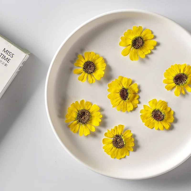 120pcs/500pcs Grandaisy Yellow Pressed Flower Dried Flower Scrapbooking DIY Resin Jewelry Crafts Nails Decor Candle Soap Making
120pcs/500pcs Grandaisy Yellow Pressed Flower Dried Flower Scrapbooking DIY Resin Jewelry Crafts Nails Decor Candle Soap Making
