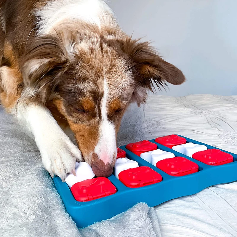 1PCS Dog Interactive Game Intelligence Toy Treat and Seeking Fun Mobile Treasure Box Pet Intelligence Toy
1PCS Dog Interactive Game Intelligence Toy Treat and Seeking Fun Mobile Treasure Box Pet Intelligence Toy