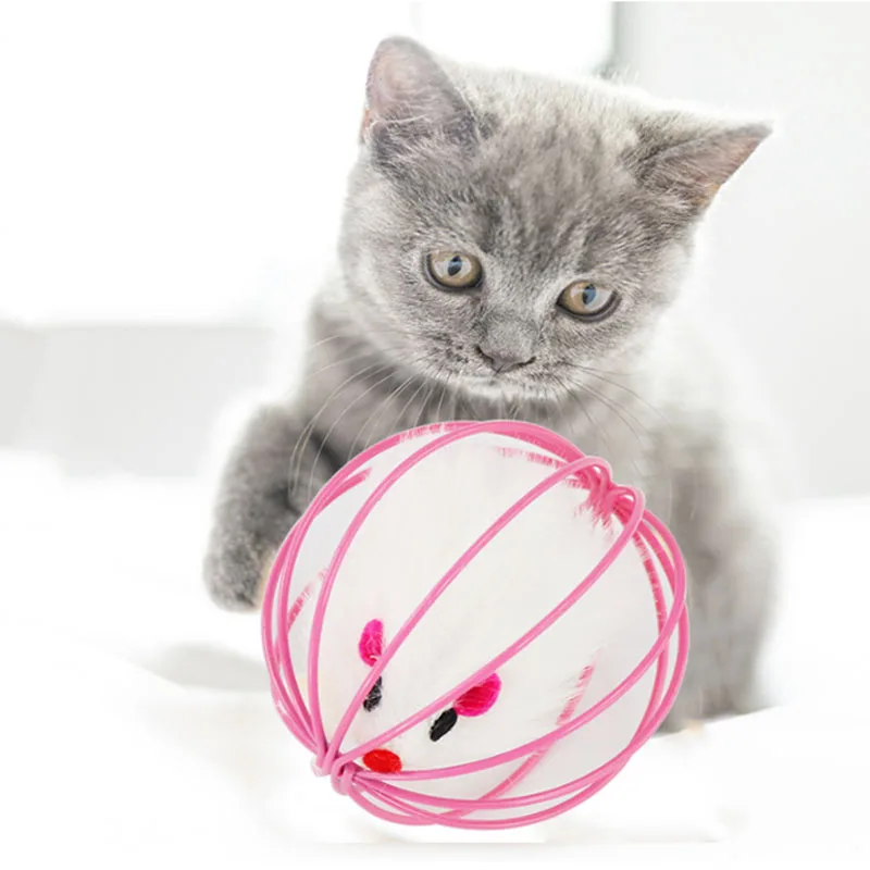 1 шт., игрушечная клетка для кошек и крыс
1 шт., игрушечная клетка для кошек и крыс