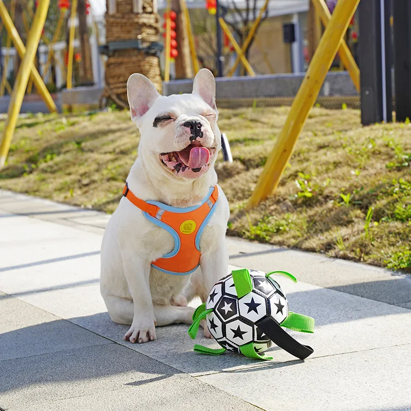 Pet Toys Environmental Protection Outdoor Soccer Toys Interactive Training Pet Supplies Large Small Dog Toys Dog Dog Accessories
Pet Toys Environmental Protection Outdoor Soccer Toys Interactive Training Pet Supplies Large Small Dog Toys Dog Dog Accessories