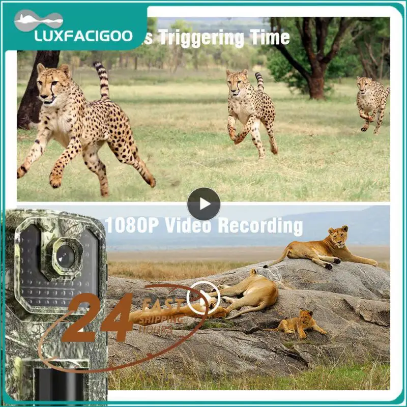 Ip66 Waterproof Trail Camera 90 Degreeimage Traps Game Cam Color Full Display Outdoor Infrared Camera Camera Mms 16mp Hd
Ip66 Waterproof Trail Camera 90 Degreeimage Traps Game Cam Color Full Display Outdoor Infrared Camera Camera Mms 16mp Hd