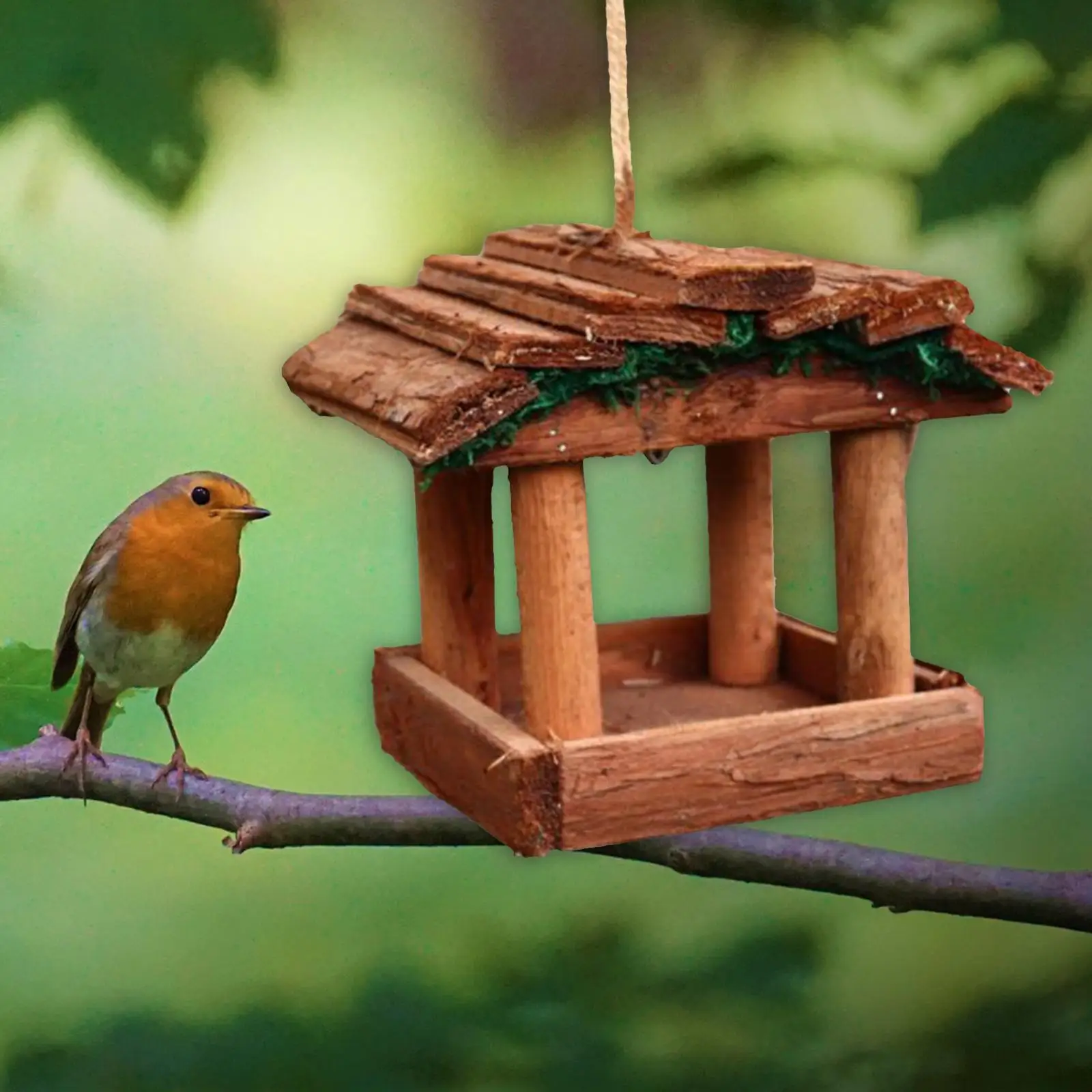 Wild Bird Feeder Attracting Birds for Garden Yard Decoration Bird Lover Kids
Wild Bird Feeder Attracting Birds for Garden Yard Decoration Bird Lover Kids
