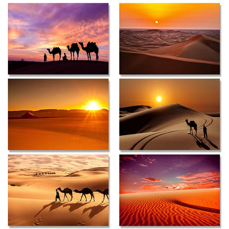 DIY Digital Oil Painting Camel with Herdsman In The Sahara Desert Landscape Home Kids Room Decor Handpainted Wall Unique Gift
DIY Digital Oil Painting Camel with Herdsman In The Sahara Desert Landscape Home Kids Room Decor Handpainted Wall Unique Gift