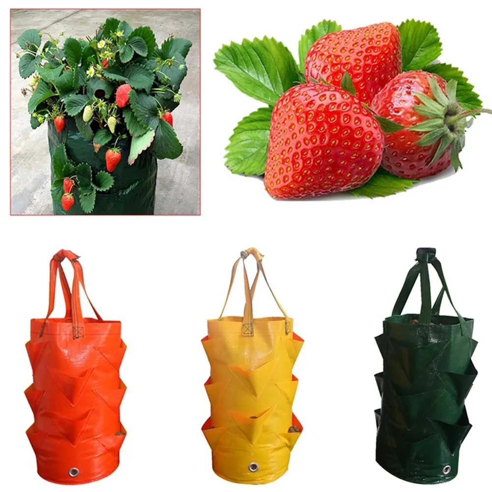 YardsPE Strawberry Growing Bag Gard Ble Flower Planter Yards Apartments Balconies Terraces Backyard
YardsPE Strawberry Growing Bag Gard Ble Flower Planter Yards Apartments Balconies Terraces Backyard