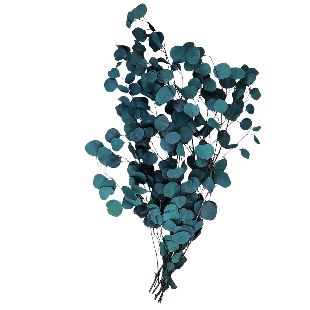 Eucalyptus Dried Leaves Stems Flower Fake Flowersartificial Branches Real Wedding Spray Leaf Dollar Bouquet Decorations Vase
Eucalyptus Dried Leaves Stems Flower Fake Flowersartificial Branches Real Wedding Spray Leaf Dollar Bouquet Decorations Vase
