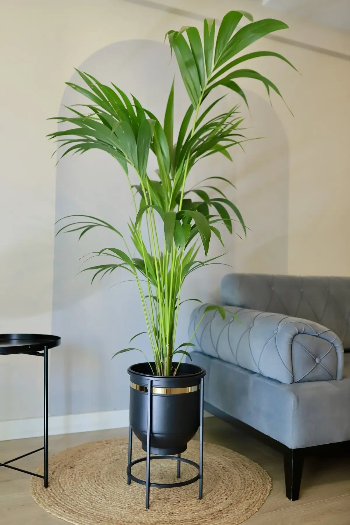 Planting Bag Modern Large Size Flower Pot Black Eco-friendly Darbuka Model Pots Home And Garden Decoration Large Size Plants
Planting Bag Modern Large Size Flower Pot Black Eco-friendly Darbuka Model Pots Home And Garden Decoration Large Size Plants