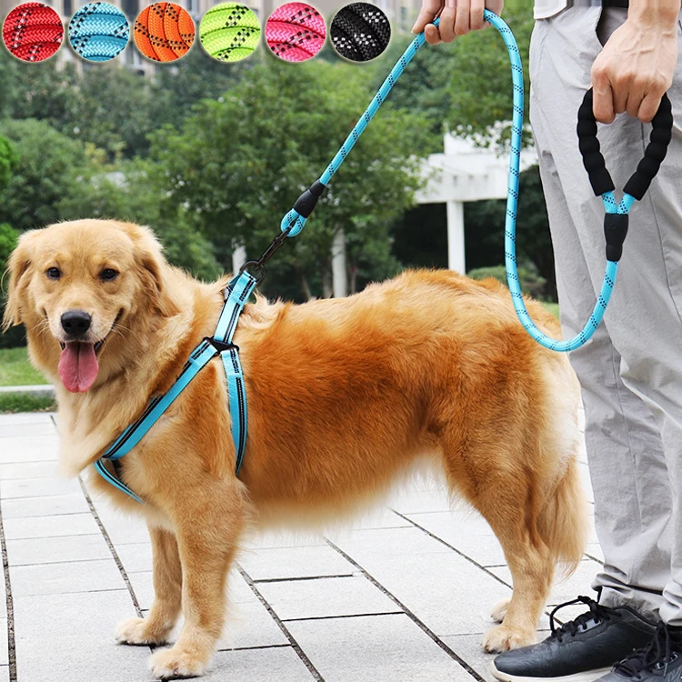 150/200/300cm Strong Dog Leash Pet Leashes Reflective Leash For Big Small Medium Large Dog Leash Drag Pull Tow Golden Retriever
150/200/300cm Strong Dog Leash Pet Leashes Reflective Leash For Big Small Medium Large Dog Leash Drag Pull Tow Golden Retriever