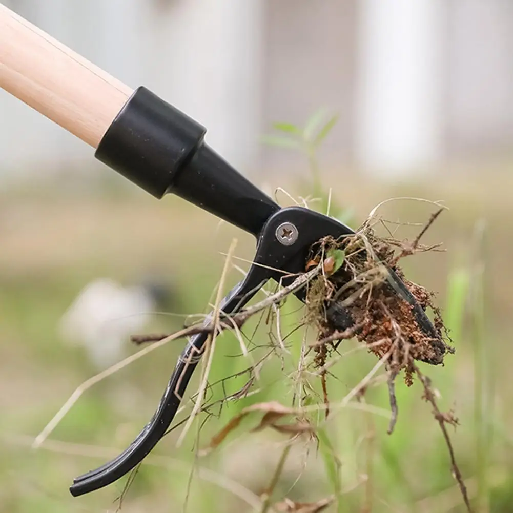 Foot Weeding Remover Metal Anti-slid Pedal Design Weed Puller Non-sliding Foot Weeder Aid Foot Weed Puller Garden Weeding Tool
Foot Weeding Remover Metal Anti-slid Pedal Design Weed Puller Non-sliding Foot Weeder Aid Foot Weed Puller Garden Weeding Tool