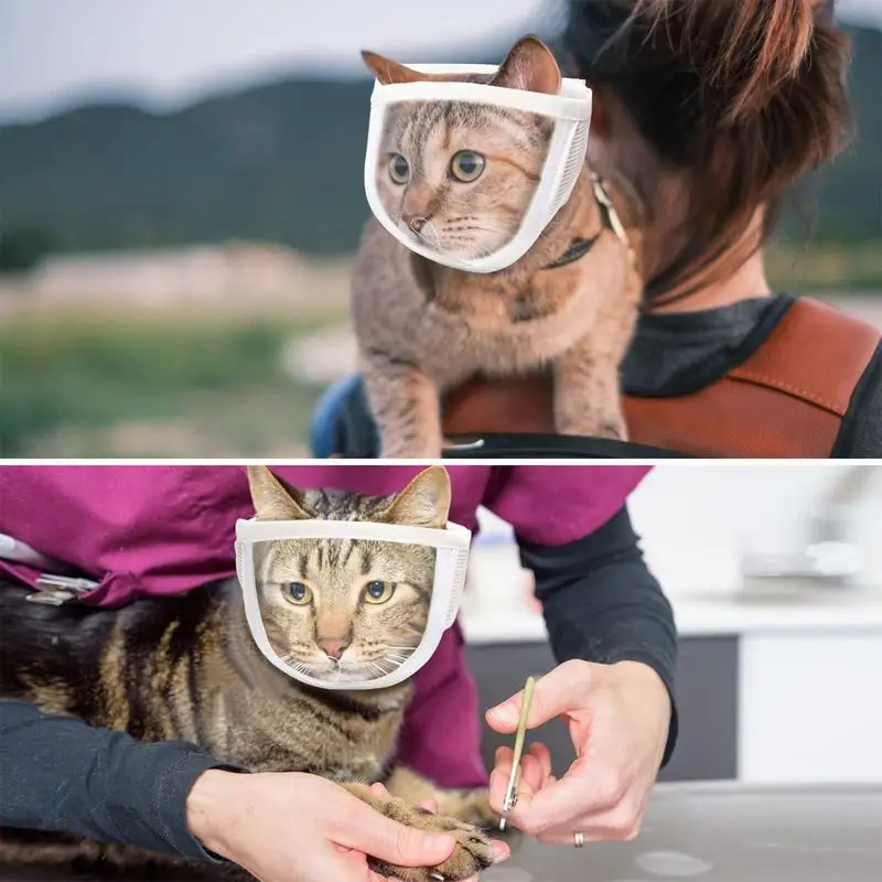 Намордник для ухода за кошкой, намордник для кошачьего лица с спиралью, хлопковый щит для лица, удобный для кошки, регулируемый для ногтей
Намордник для ухода за кошкой, намордник для кошачьего лица с спиралью, хлопковый щит для лица, удобный для кошки, регулируемый для ногтей
