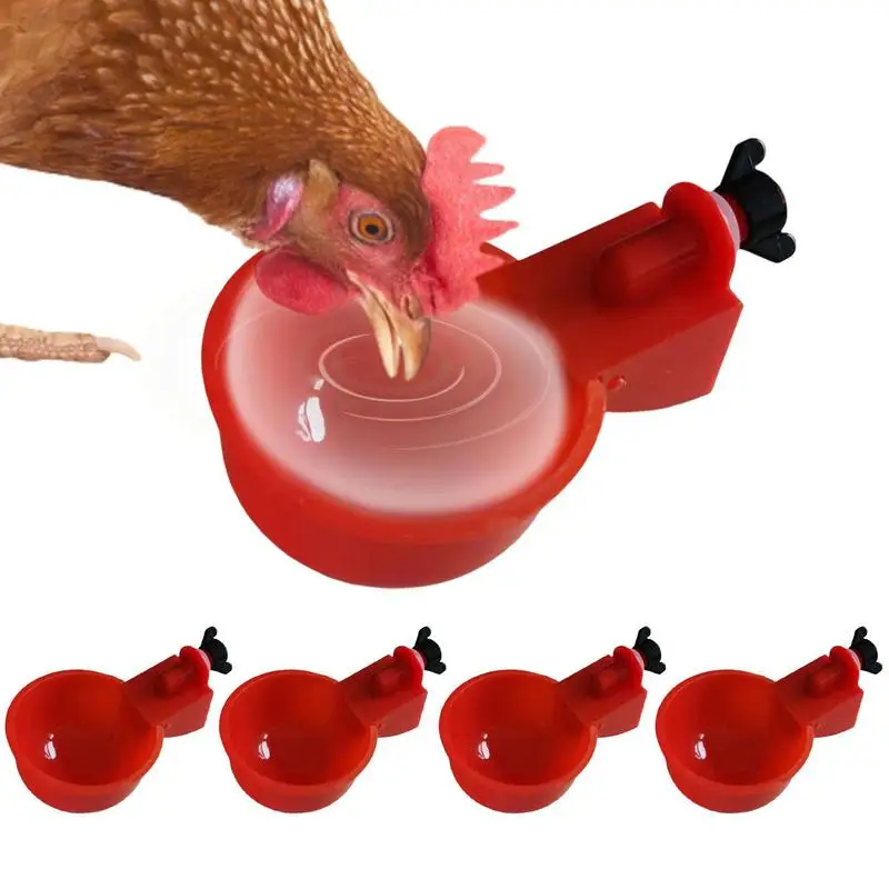 Chicken Waterer Drinking Cups Automatic Drinker Chicken Feeder Plastic Poultry Waterer Feeder Kit Suitable For Chicks Duck
Chicken Waterer Drinking Cups Automatic Drinker Chicken Feeder Plastic Poultry Waterer Feeder Kit Suitable For Chicks Duck