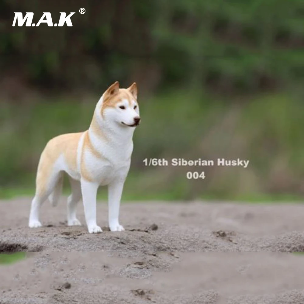 In stock 1/6 Scale Action Figure Accessory Siberian Husky Simulation Animals 004 Pet Dog Model Toys for 12'' Action Figure
In stock 1/6 Scale Action Figure Accessory Siberian Husky Simulation Animals 004 Pet Dog Model Toys for 12'' Action Figure