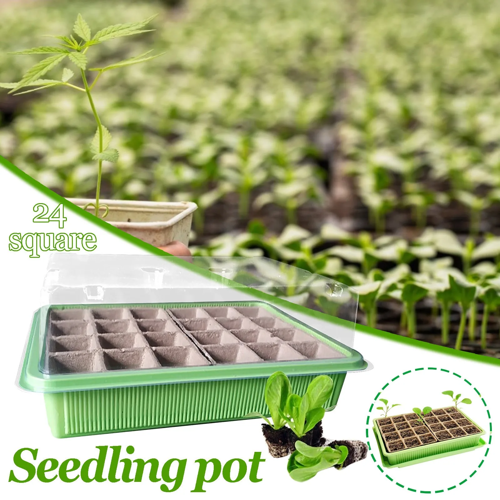 Sees 24 Cells Gardening Mini Breathable Lids Plastic Germination Box Nursery Pots Pumpkin
Sees 24 Cells Gardening Mini Breathable Lids Plastic Germination Box Nursery Pots Pumpkin