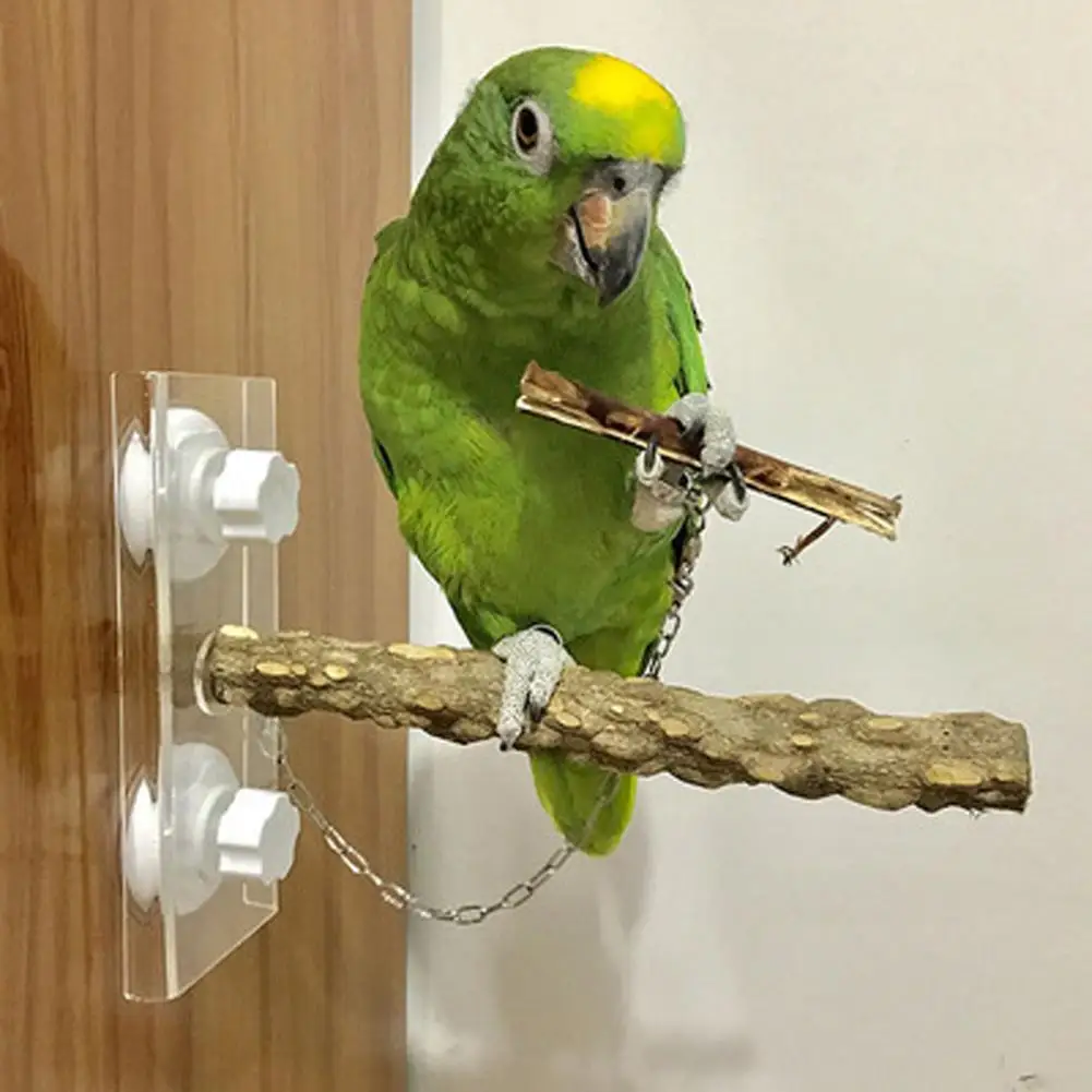 YOUZI PET Bird Parrot Wooden Standing Stick Rack Suction Cup Shower Perch Bar Rod Bathing Toy Pet Supply
YOUZI PET Bird Parrot Wooden Standing Stick Rack Suction Cup Shower Perch Bar Rod Bathing Toy Pet Supply