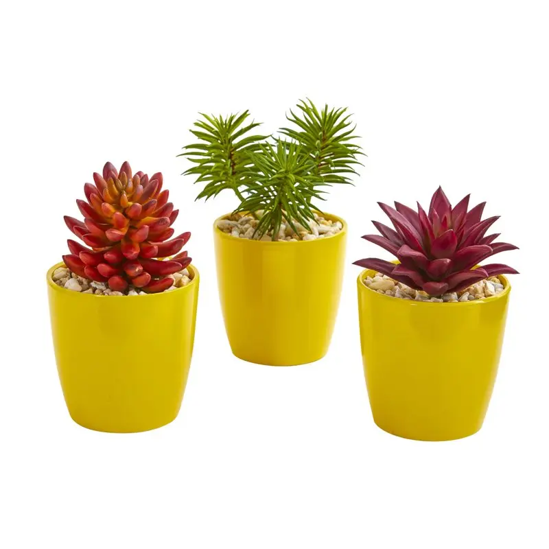 

Plastic Red 9" Mixed Succulent Artificial Plant in Yellow Vase (Set of 3)