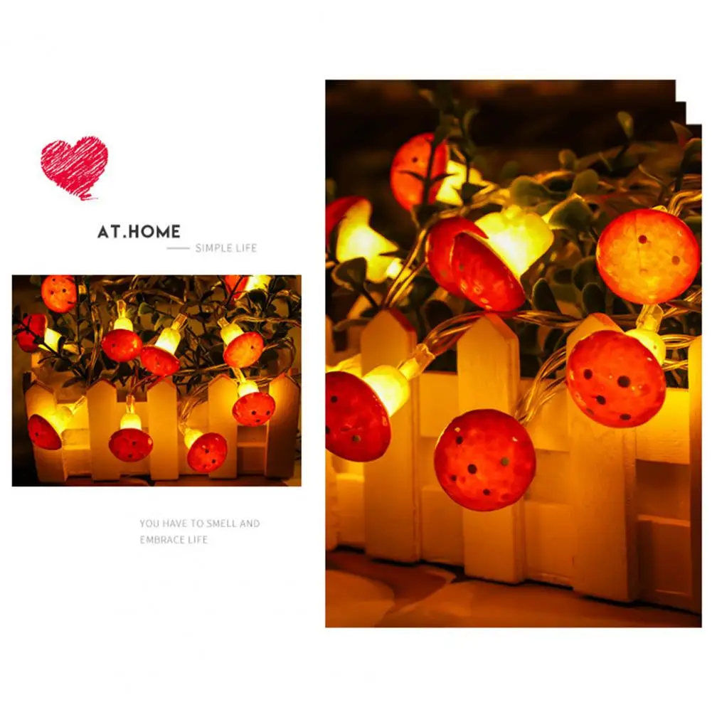 Волшебный светильник, креативная форма, 2 стиля, светодиодная волшебная лампа в виде грибов, праздничная вечеринка, ночная лампа для дома
Волшебный светильник, креативная форма, 2 стиля, светодиодная волшебная лампа в виде грибов, праздничная вечеринка, ночная лампа для дома