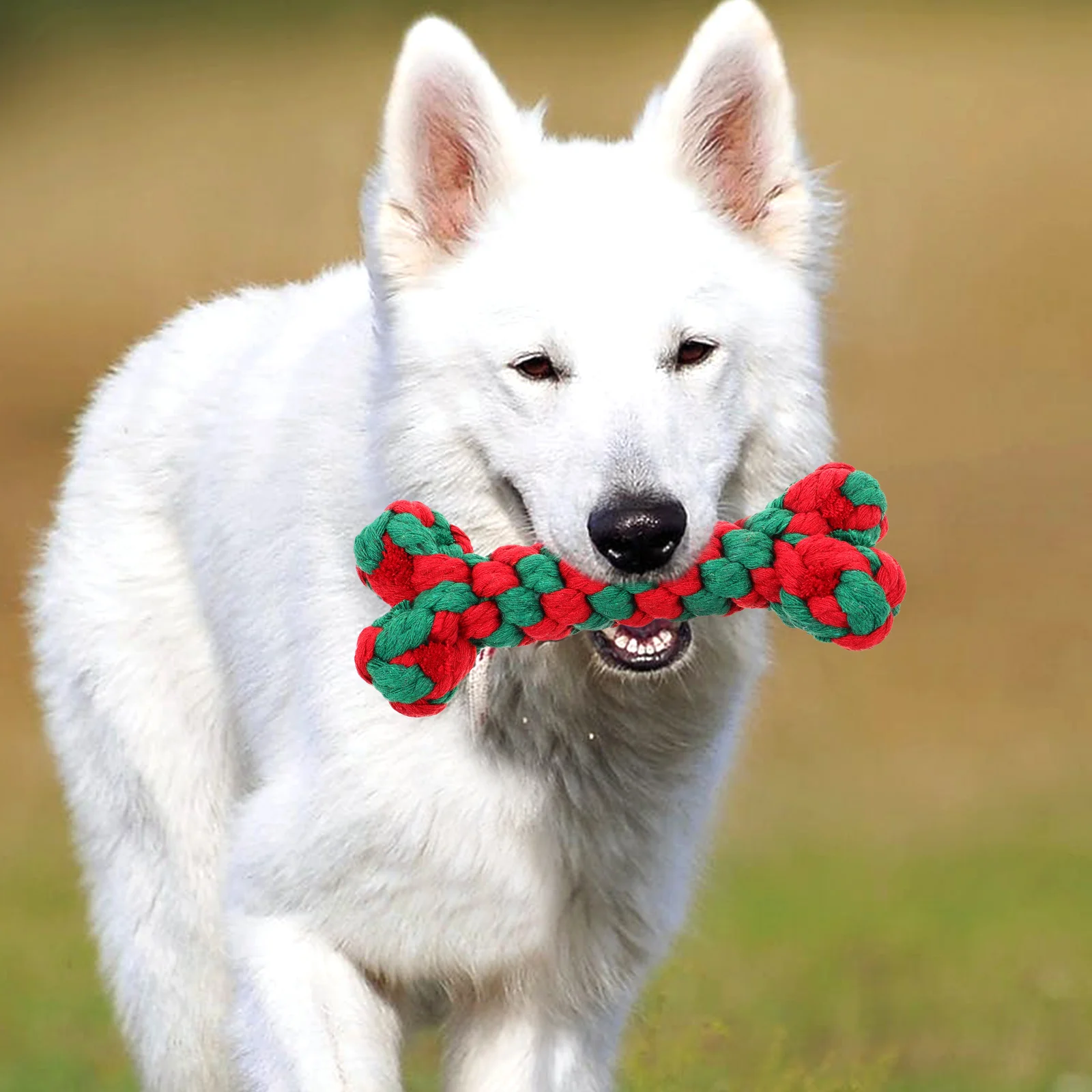 Pet Bone Toy Dog The Gift Shaped Molar Chew Toys Puppies Rope Teeth Plaything Kitten Puppy
Pet Bone Toy Dog The Gift Shaped Molar Chew Toys Puppies Rope Teeth Plaything Kitten Puppy