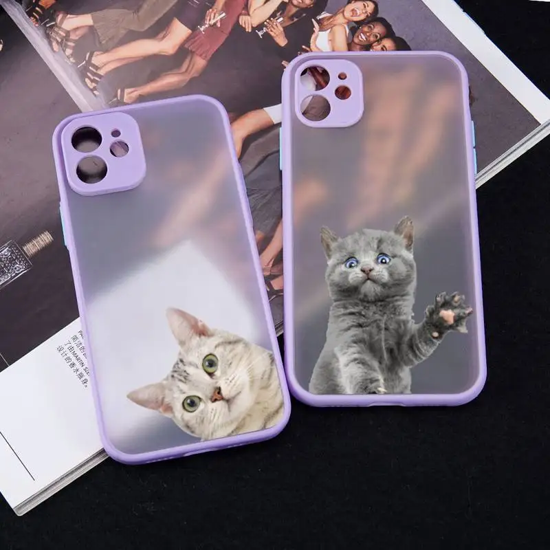 Cat cute funny animal Phone Case matte transparent For iphone 7 8 11 12 13 plus mini x xs xr pro max cover
Cat cute funny animal Phone Case matte transparent For iphone 7 8 11 12 13 plus mini x xs xr pro max cover