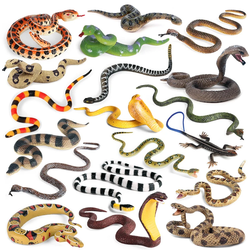 

Simulation Reptiles Figurine Animal Python Rattlesnake Cobra Python Lizard Action Figure Collection Educational Toy for Children