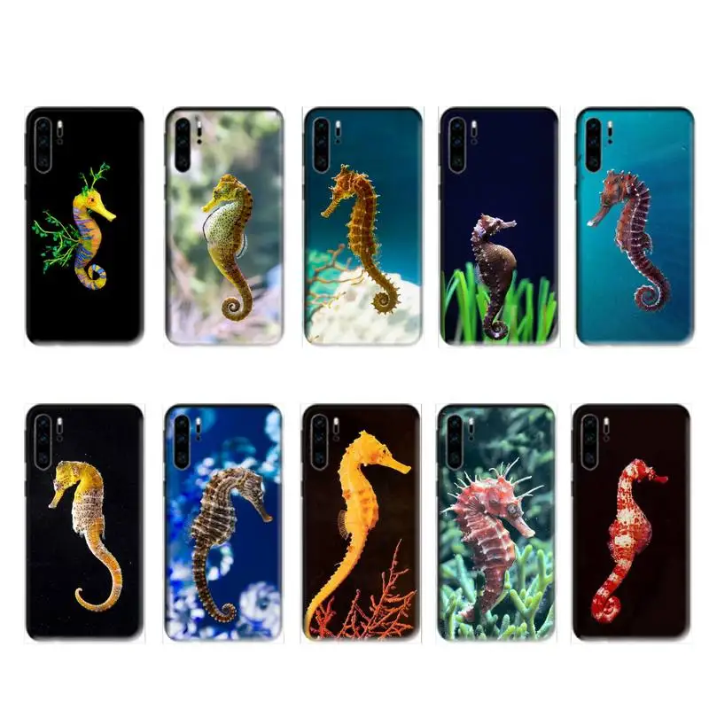 Colorful Coral Seahorse Phone Case For Huawei P20 P30 P40 Pro Mate 10 20 30 Pro Lite P Smart Y 6p 8s 9s 2019 Plus Nova 3I Set
Colorful Coral Seahorse Phone Case For Huawei P20 P30 P40 Pro Mate 10 20 30 Pro Lite P Smart Y 6p 8s 9s 2019 Plus Nova 3I Set