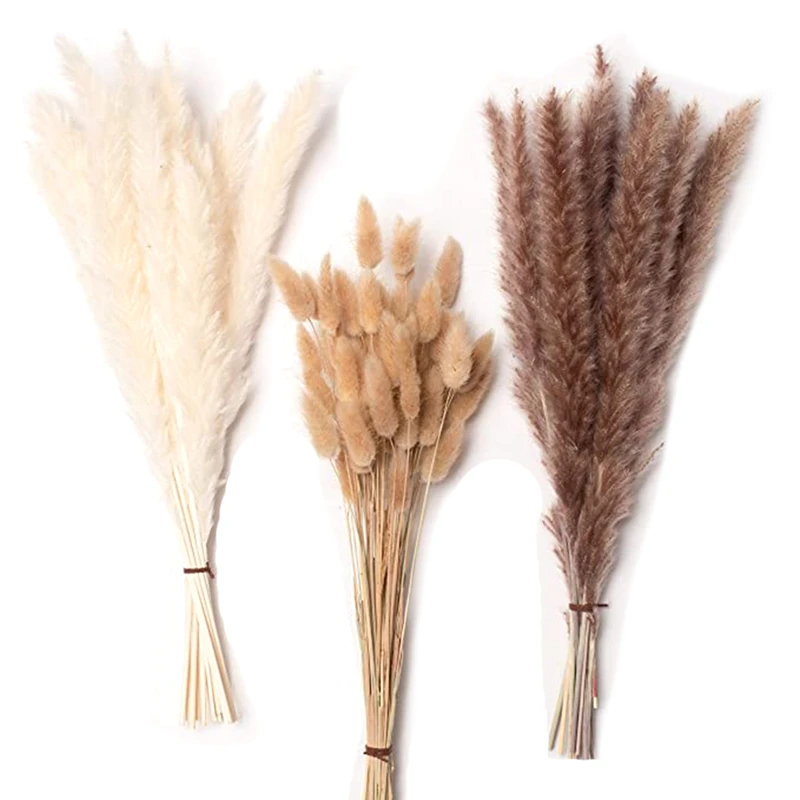 30 Pcs White Pampas And Natural Dried Pampas Grass,60 Pcs Natural Rabbit Tail Grass, Perfect For Home Decor, Boho Decor 
30 Pcs White Pampas And Natural Dried Pampas Grass,60 Pcs Natural Rabbit Tail Grass, Perfect For Home Decor, Boho Decor