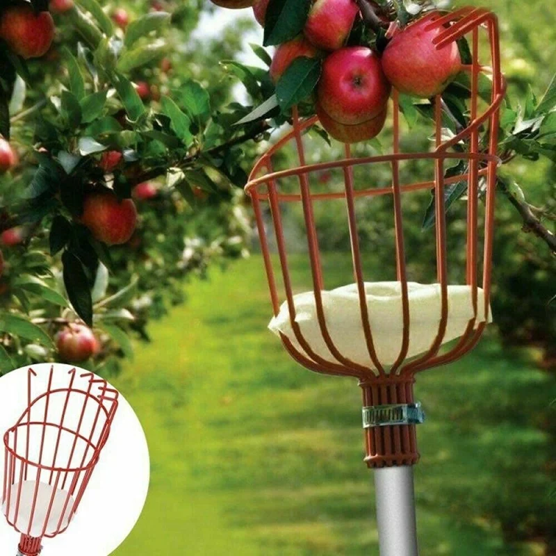 Fruit Picker,Fruit Picker Tool Basket, Fruit Grabber Easy To Assemble,Fruit Picking Equipment For Fruits Apples Citrus
Fruit Picker,Fruit Picker Tool Basket, Fruit Grabber Easy To Assemble,Fruit Picking Equipment For Fruits Apples Citrus