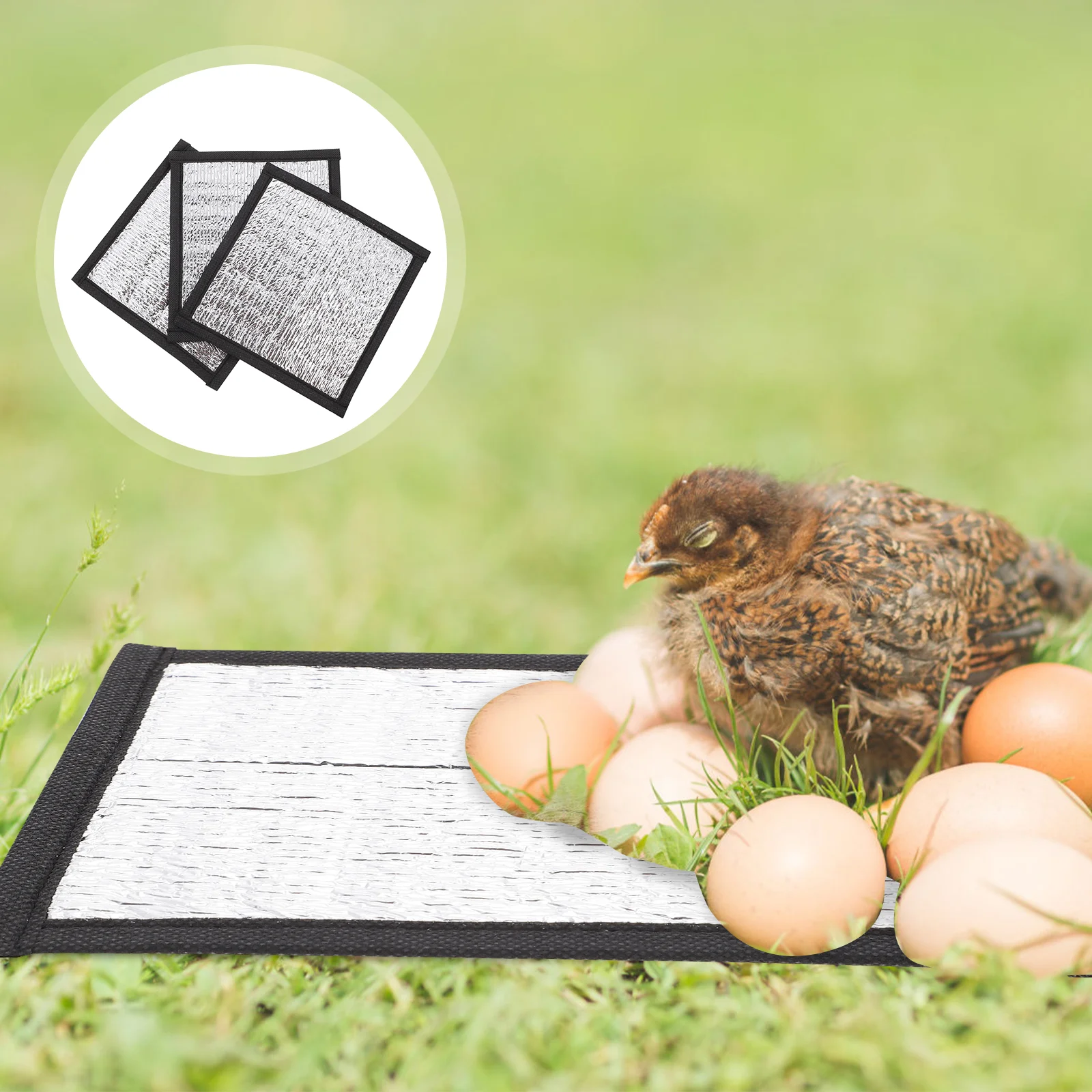 Pad Heating Mat Cat Reptile Self Bed Warming Insulation Dog Winter Terrarium Pet Heatsmalltortoise Lizardsnakes Animal Cushion
Pad Heating Mat Cat Reptile Self Bed Warming Insulation Dog Winter Terrarium Pet Heatsmalltortoise Lizardsnakes Animal Cushion