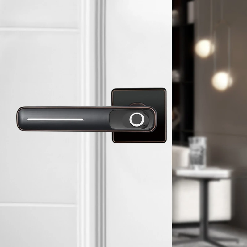 Electronic Door Lock Intelligent Biometric Fingerprint Lock Entry Tools for Home
Electronic Door Lock Intelligent Biometric Fingerprint Lock Entry Tools for Home
