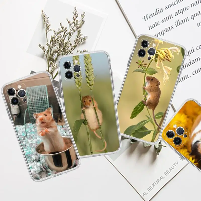 Lovely Pet Hamster Phone Case For iPhone 13 14 Pro Max XS XR 12 11 Pro 13 Mini 6 7 8 Plus Clear Back Cover Capa
Lovely Pet Hamster Phone Case For iPhone 13 14 Pro Max XS XR 12 11 Pro 13 Mini 6 7 8 Plus Clear Back Cover Capa