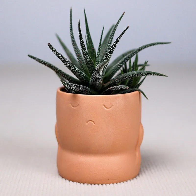 Nordic simple expression ceramic flower pot creative not listening not say not look plant pot home garden decoration ornaments
Nordic simple expression ceramic flower pot creative not listening not say not look plant pot home garden decoration ornaments