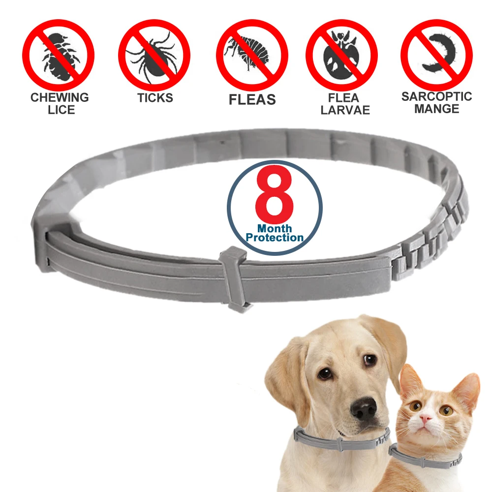 38cm 70cm Retractable Deworming Dog Cat Collar Anti Flea Ticks Prevention Mosquitoes Repellent Collar for Cat Dog Pet Products
38cm 70cm Retractable Deworming Dog Cat Collar Anti Flea Ticks Prevention Mosquitoes Repellent Collar for Cat Dog Pet Products