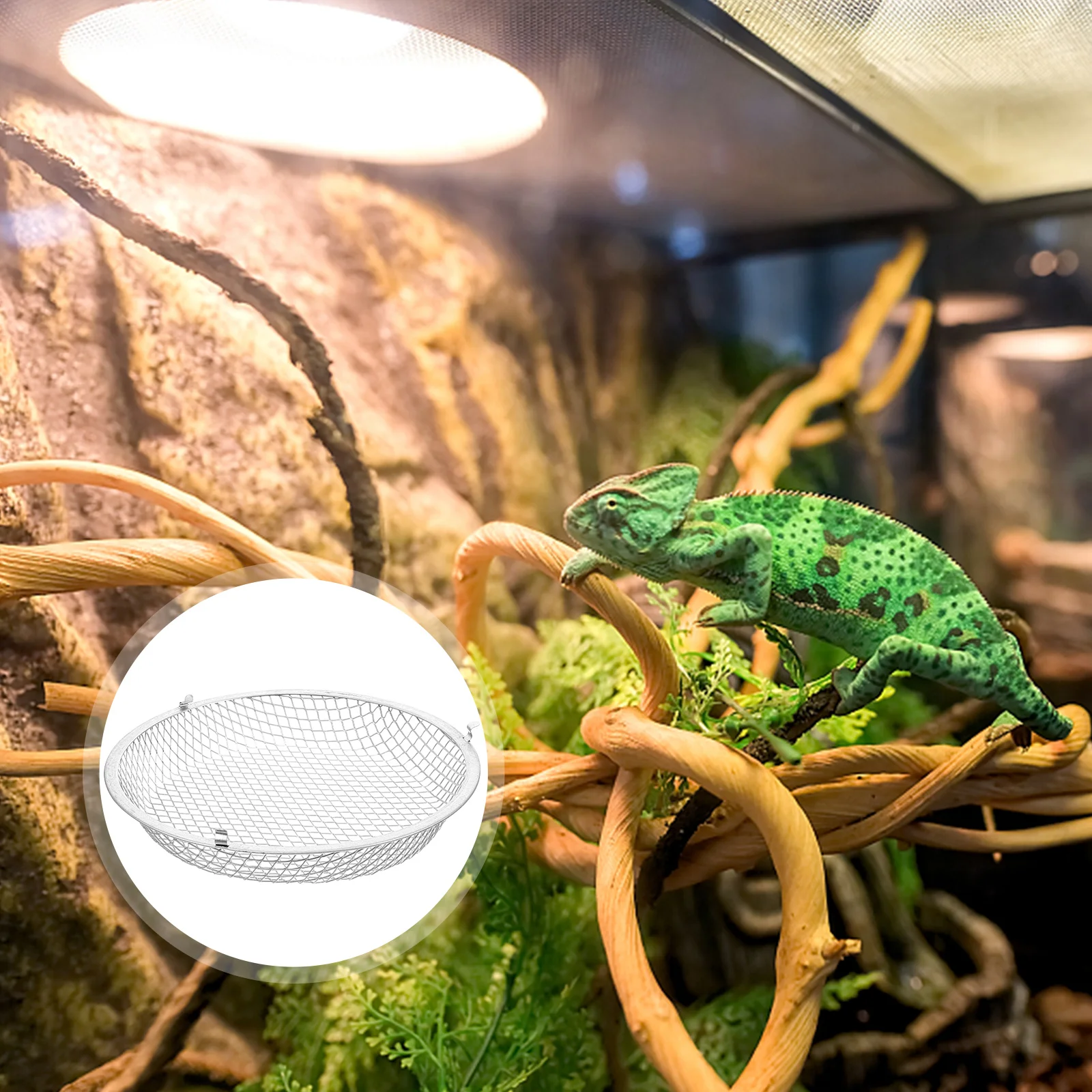 Reptile Terrariums Lamp Cover For Habitat Shade Tank Protector Light Fixture Dome Shaped Bulb
Reptile Terrariums Lamp Cover For Habitat Shade Tank Protector Light Fixture Dome Shaped Bulb