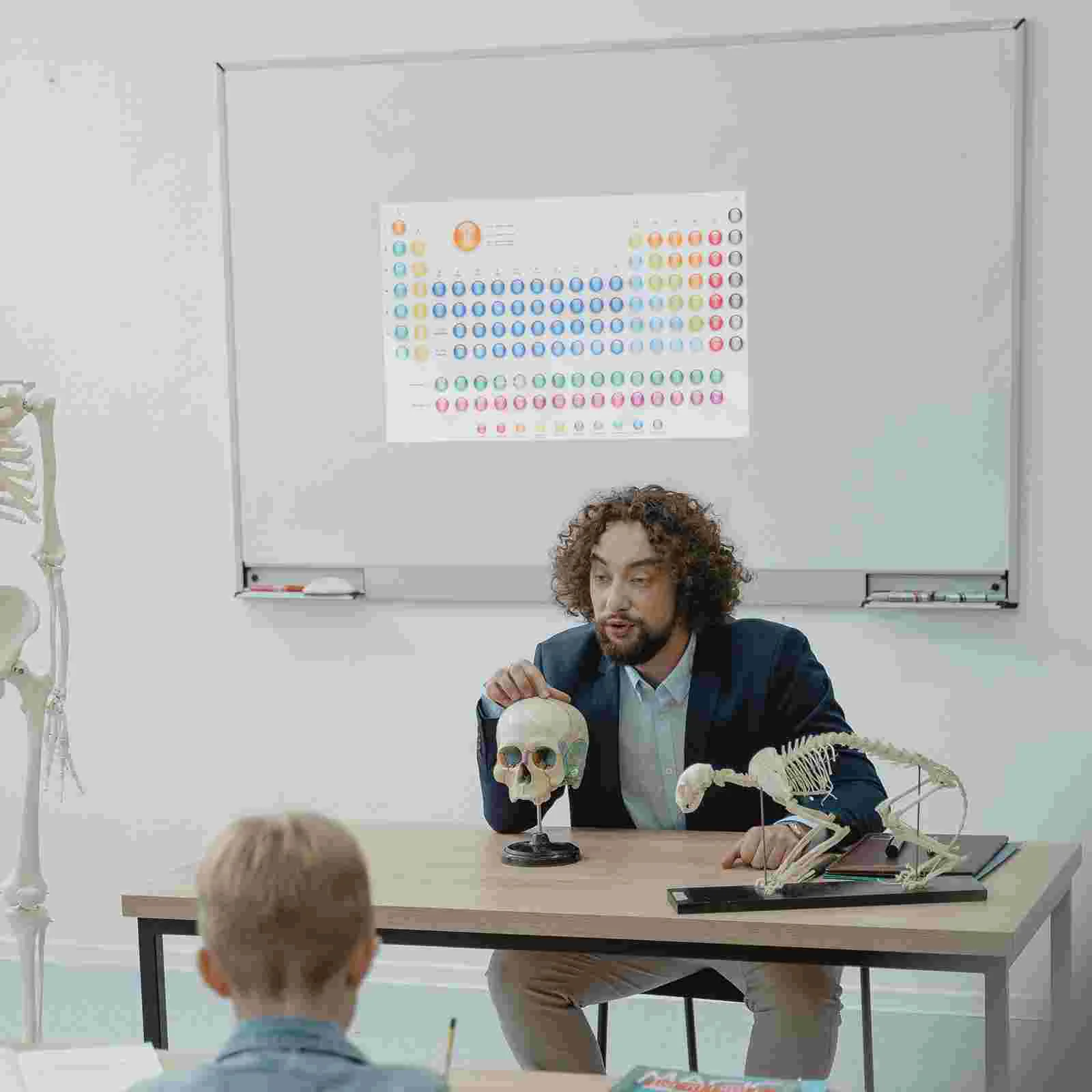 Decor Teachers Science Chemistry Chart Elements Poster Wall Craft Painting Periodic Table Learning Ornament Paper School Child
Decor Teachers Science Chemistry Chart Elements Poster Wall Craft Painting Periodic Table Learning Ornament Paper School Child