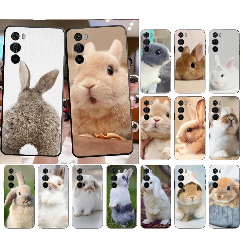 

Beautiful Bunny Rabbits Phone Case for Moto E22i E22 E32 E40 E20 Edge X30 20 Lite 20Pro 30 Neo Ultra Fusion E7Power E7 E6 Plus