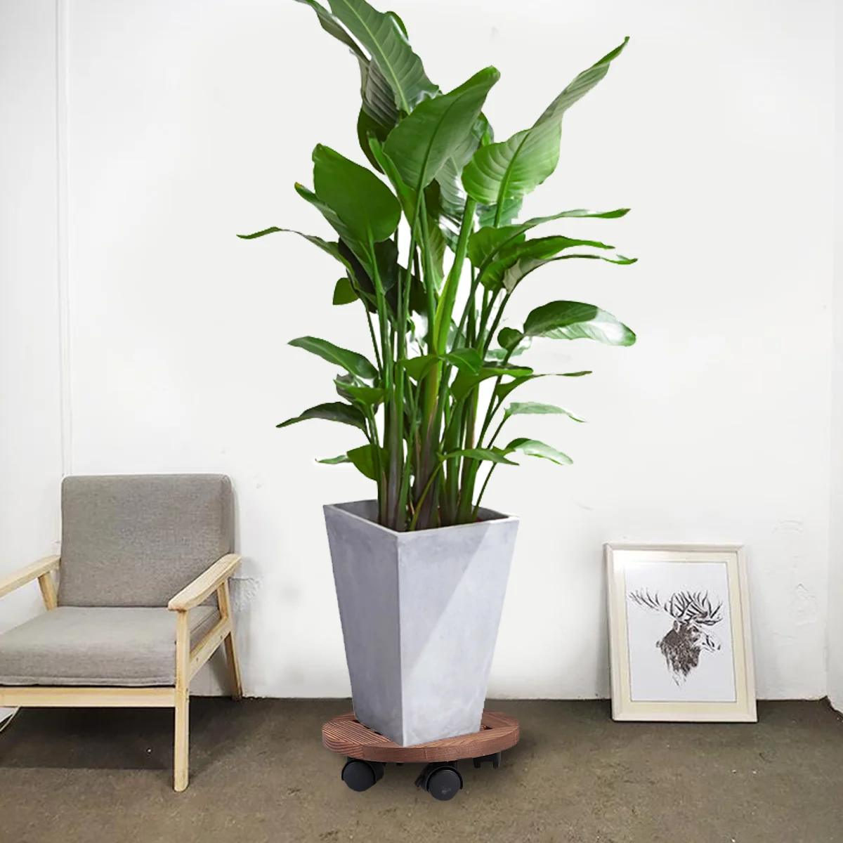 Wooden Caddy Indoor Pots Plants Flower Pot Dolly Flower Pot Trays Wooden Mobile Torus Casters Flower Pot Rollers
Wooden Caddy Indoor Pots Plants Flower Pot Dolly Flower Pot Trays Wooden Mobile Torus Casters Flower Pot Rollers
