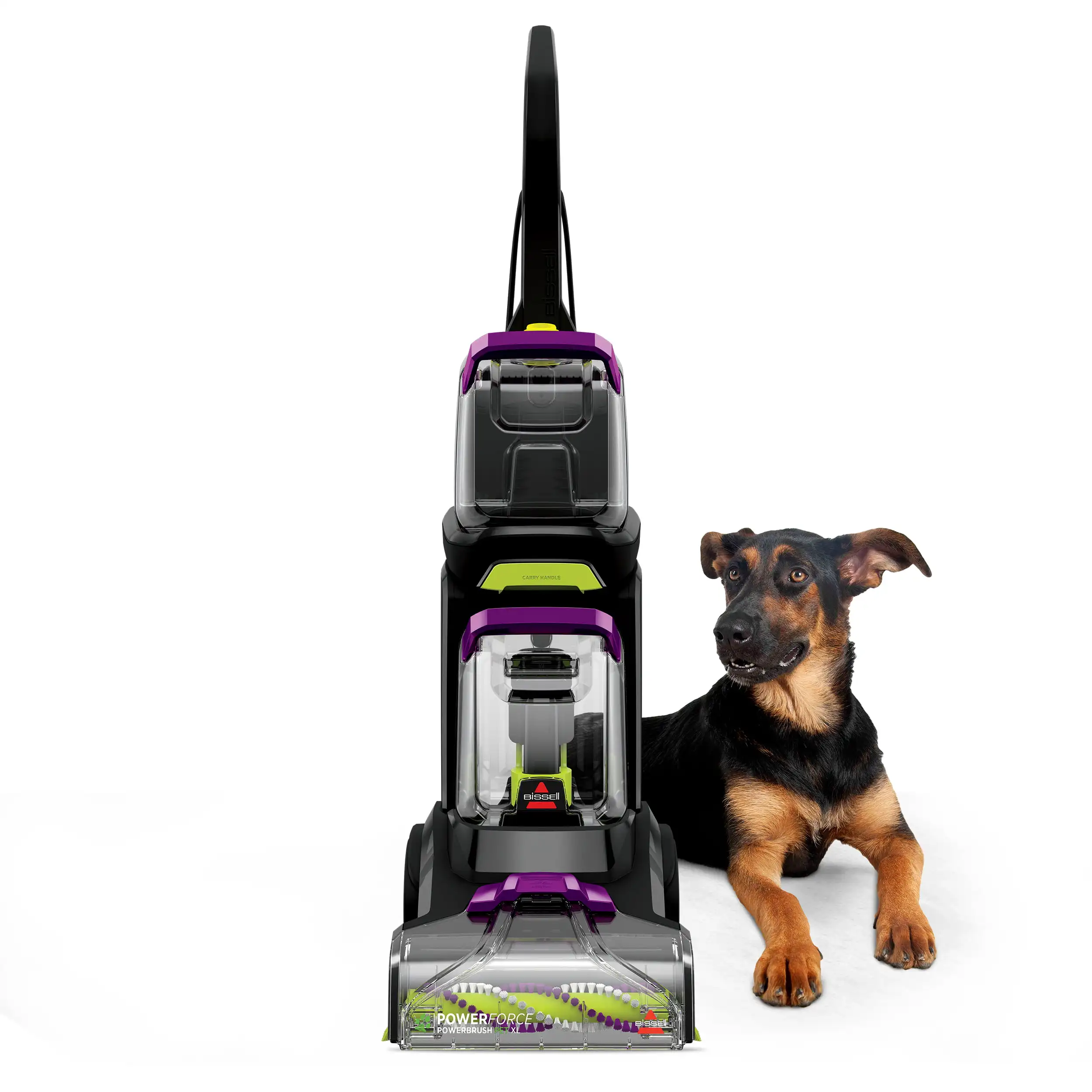 Доставка в течение 7-10 дней shuanqiu Powerforce Powerbrush Pet XL очиститель ковров, 3071
Доставка в течение 7-10 дней shuanqiu Powerforce Powerbrush Pet XL очиститель ковров, 3071