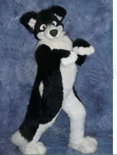Top quality EVA Helmet Luxury Plush Simulation fur Wolf dog Mascot Costumes walking cartoon Apparel Birthday party
Top quality EVA Helmet Luxury Plush Simulation fur Wolf dog Mascot Costumes walking cartoon Apparel Birthday party