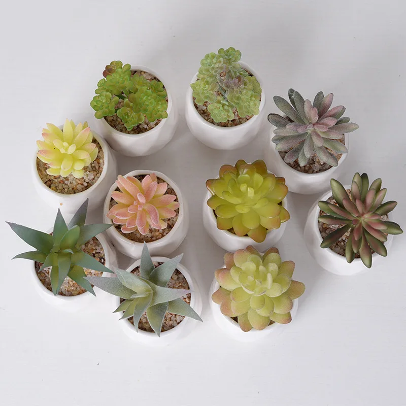 Green Artificial Succulents Plants for Flower Arrangement Bonsai Wedding Garden Decoration Outdoor Fake Plant Landscape Decor
Green Artificial Succulents Plants for Flower Arrangement Bonsai Wedding Garden Decoration Outdoor Fake Plant Landscape Decor