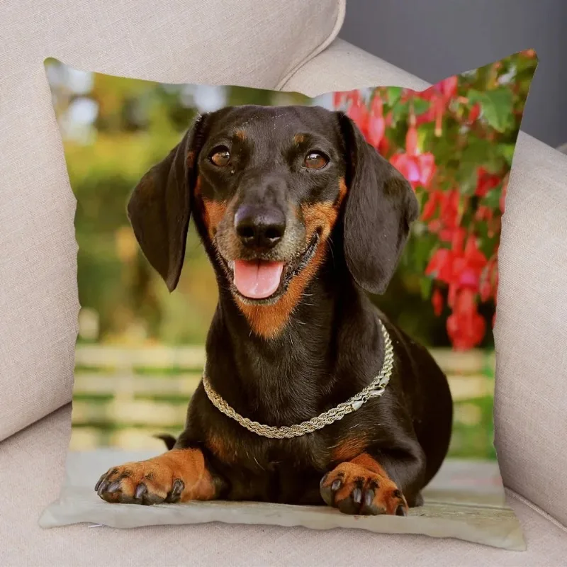 Декоративная наволочка с рисунком таксы 45x45 см
Декоративная наволочка с рисунком таксы 45x45 см