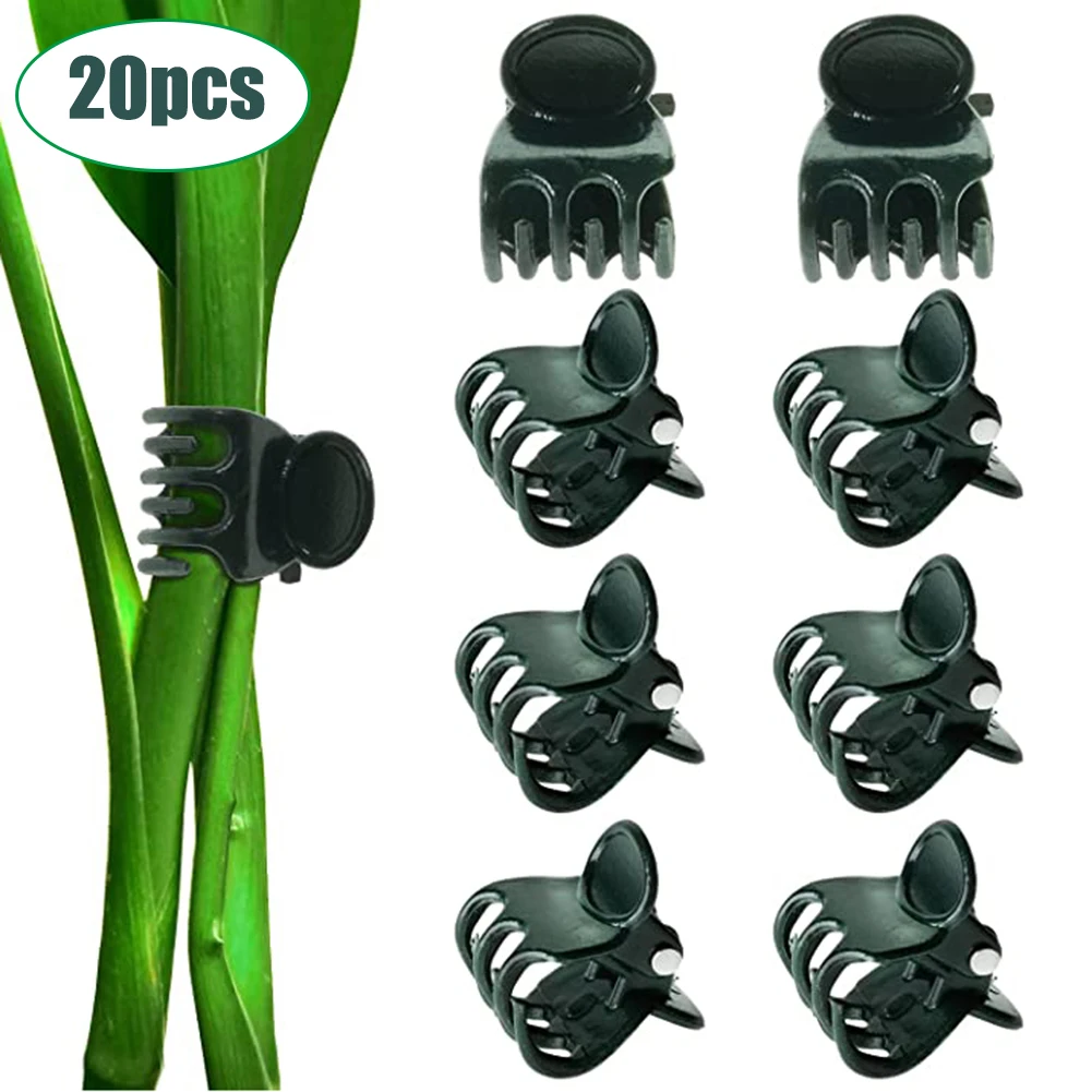 20pcs Butterfly Vine Gardening Clip Vine Fixing Clip Plastic Orchid Clip Grafting Clamp Plant Clamp Fixed Supports Accessories
20pcs Butterfly Vine Gardening Clip Vine Fixing Clip Plastic Orchid Clip Grafting Clamp Plant Clamp Fixed Supports Accessories
